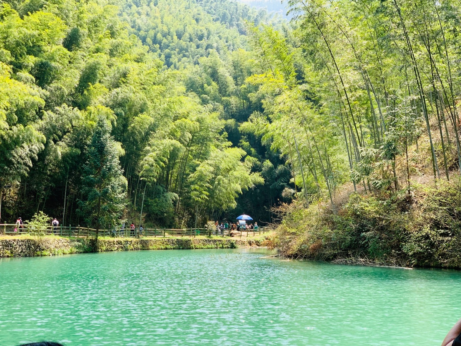 Mukeng-Bamboo-Forest